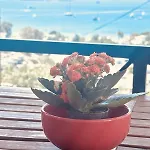 וילה With Panoramic Sea View In Bitez בודרום