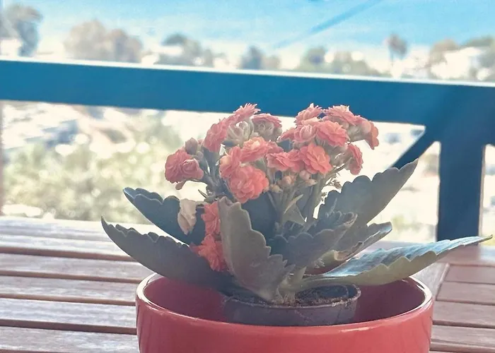 Villa With Panoramic Sea View In Bitez Bodrum