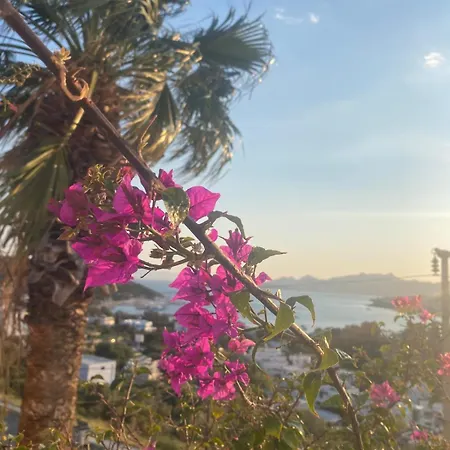 别墅 With Panoramic Sea View In Bitez *