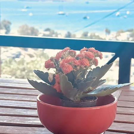 فيلة With Panoramic Sea View In Bitez بودروم